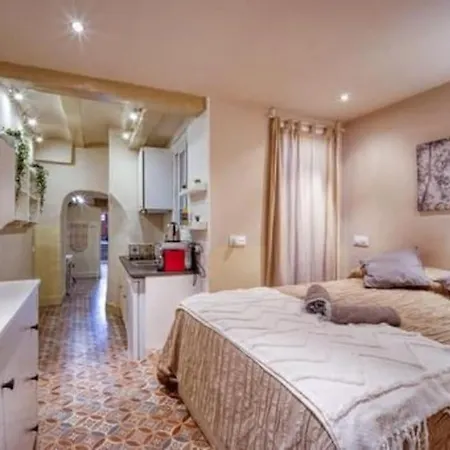 Lovely Coquette Loft, Heart Of Cuitat Vella El Carmen Apartment